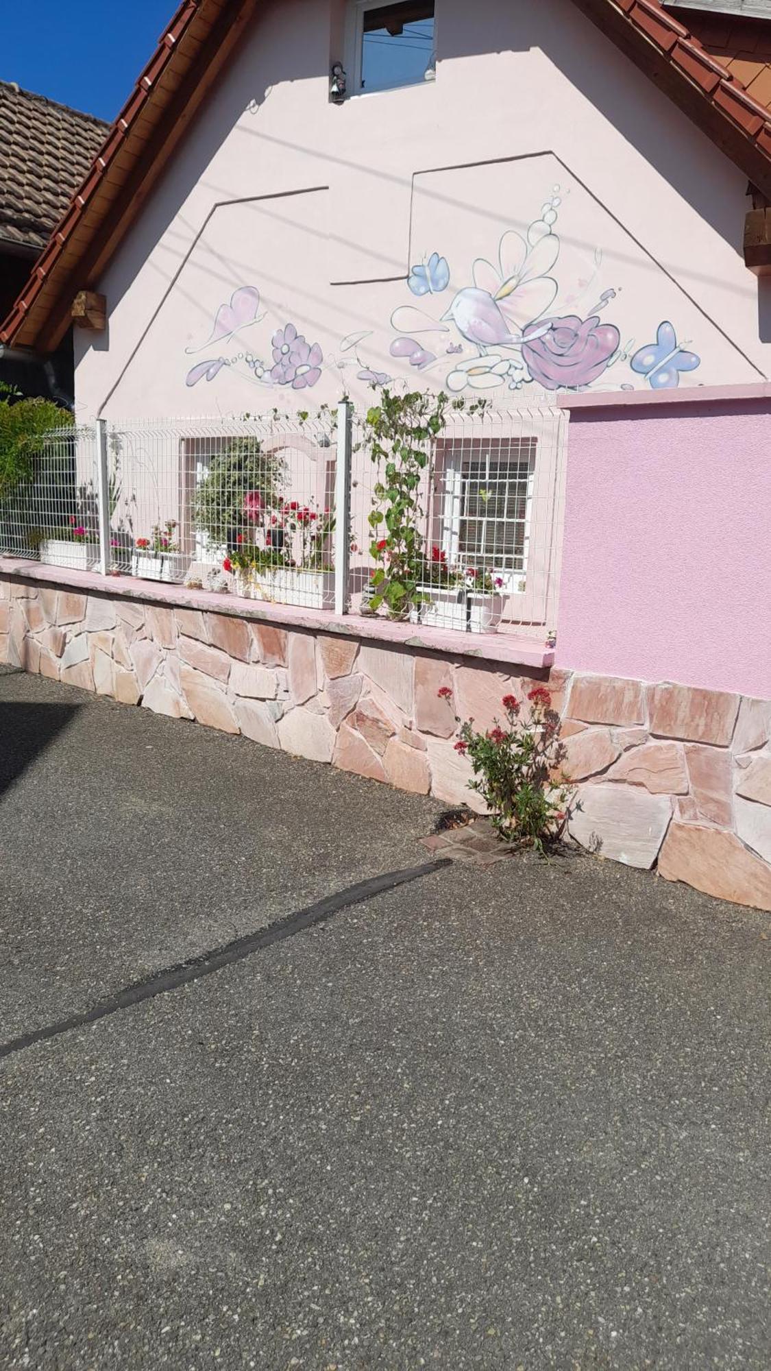 Olympe Villa Dessenheim Exterior foto